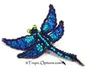 Dragonfly Pin - Assorted